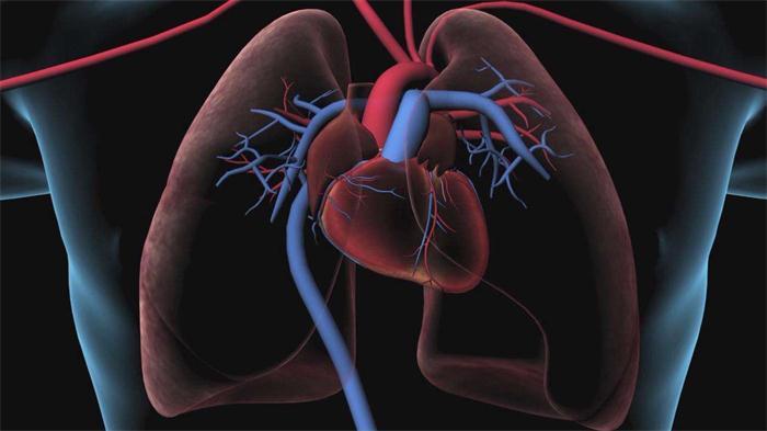 北京医疗动画伦理审查红线：患者隐私保护如何影响制作成本？