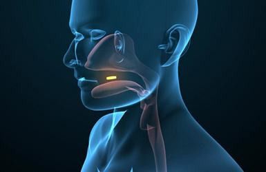 如何评估医学三维动画制作公司的报价是否合理？